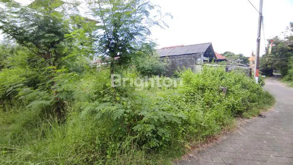 TANAH PREMIUM KAWASAN KUTUH JIMBARAN