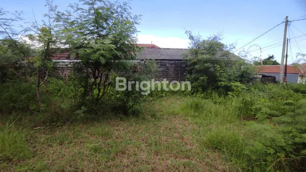 image TANAH PREMIUM KAWASAN KUTUH JIMBARAN (5)