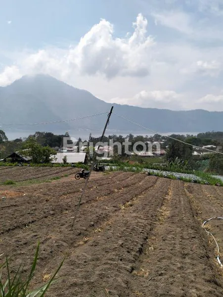 image TANAH KINTAMANI (2)