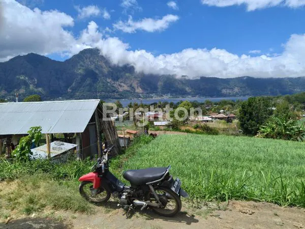 image TANAH KINTAMANI (4)