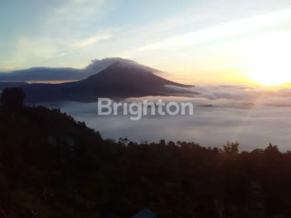 image TANAH KINTAMANI VIEW 180° (BUKIT PAYANG)  (4)