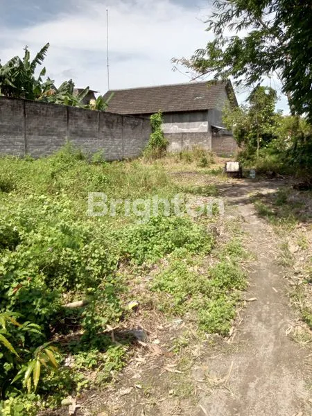 image TANAH DI COREKAN KALIOMBO (1)