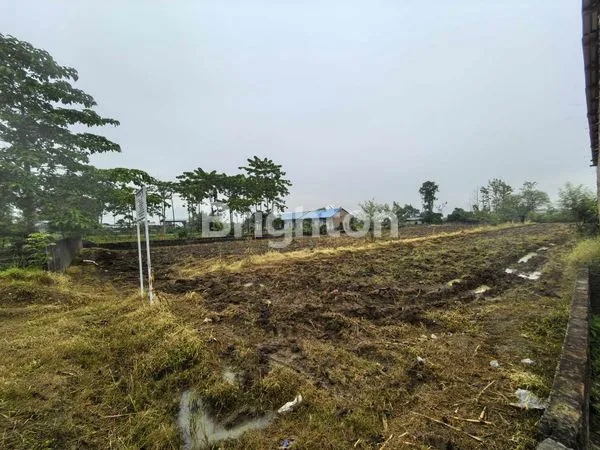 image TANAH RATA PATUMBAK (3)