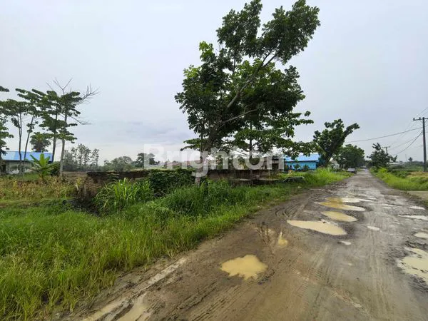 image TANAH RATA PATUMBAK (4)