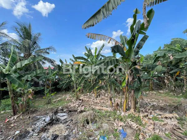 image DIJUAL DAN SEWA RUMAH (8)