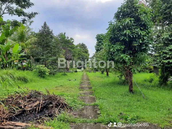 TANAH  2850 M TABANAN PENEBEL BALI  STRATEGIS DEKAT WISATATABANAN BEDUGUL