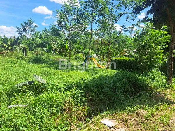 image TANAH KAWASAN KPI CITEUREUP BOGOR (4)