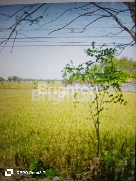 Gambar Property DIJUAL SAWAH SETRATEGIS
