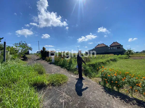 image TANAH PLOT KECIL SIAP BANGUN DI AREA GIANYAR (2)