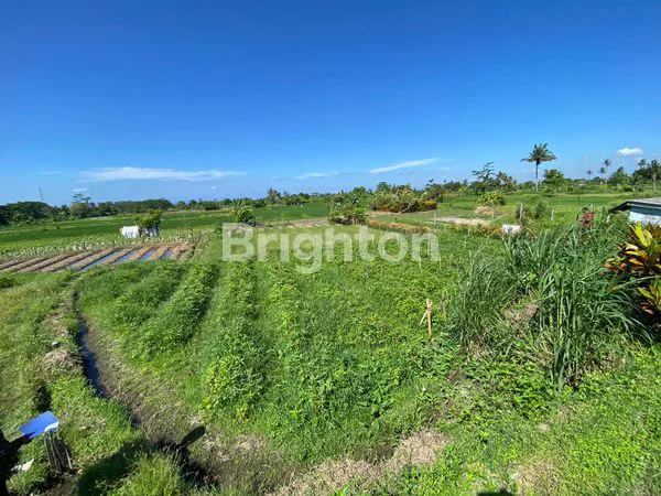 image TANAH PLOT KECIL SIAP BANGUN DI AREA GIANYAR (1)