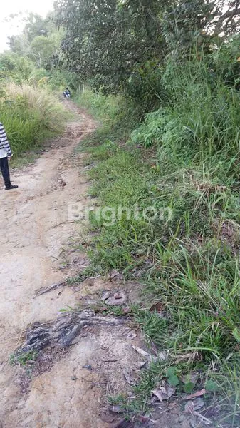 image TANAH DATAR SIAP BANGUN STRATEGIS DAERAH BATAKAN BALIKPAPAN TIMUR. (2)