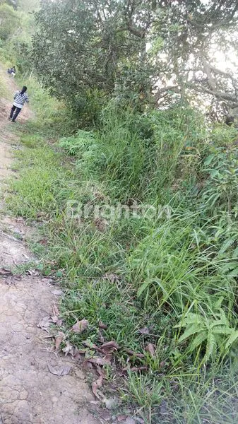 image TANAH DATAR SIAP BANGUN STRATEGIS DAERAH BATAKAN BALIKPAPAN TIMUR. (1)