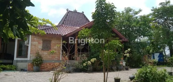 image TANAH DAN BANGUNAN BABAT LAMONGAN (7)