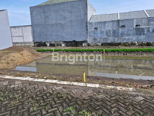 image TANAH RAYA DOMAS BRINGKANG MENGANTI (3)