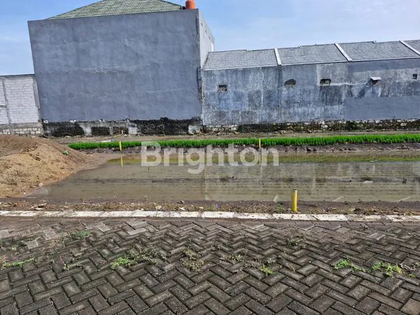 image TANAH RAYA DOMAS BRINGKANG MENGANTI (4)