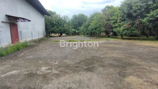 image GUDANG LUAS (6)