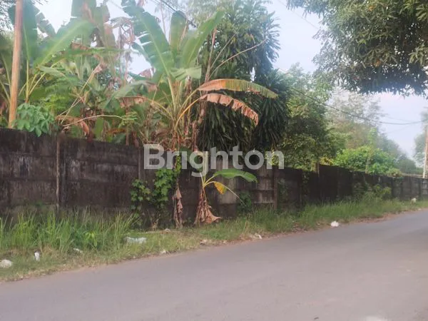 LAHAN LUAS DI PERINTIS