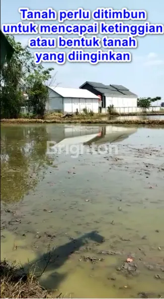 image DIJUAL TANAH/LAHAN KOSONG STRATEGIS – 5.355 M² DI BABELAN BEKASI (6)