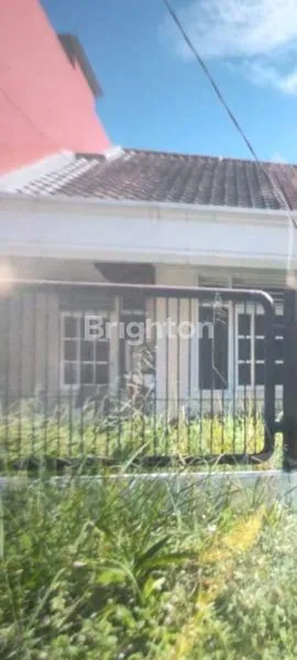 image DARMO BARU (1)