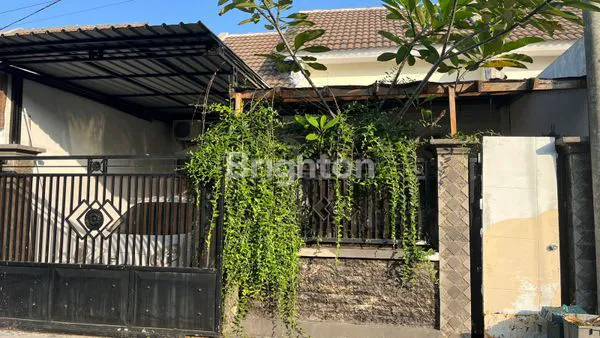 image RUMAH TAMBAK REJO (7)