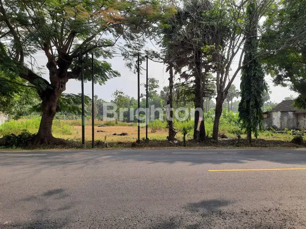 DIJUAL TANAH/KAVLING DI TUBAN JAWA TIMUR