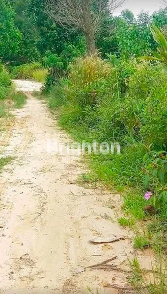 image TANAH DATAR SIAP BANGUN STRATEGIS DAERAH BATAKAN BALIKPAPAN TIMUR. (4)