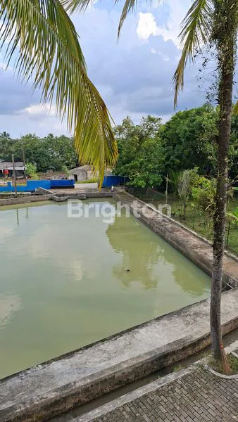 LAHAN LUAS PLUS RATUSAN KOLAM BUDIDAYA DI CIMANUK