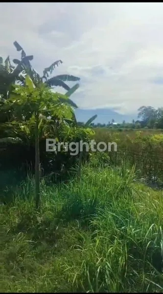 TANAH LOKASI STRATEGIS DI KALIAKAH JEMBRANA