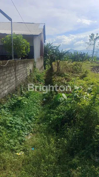 image TANAH LOKASI STRATEGIS DI KALIAKAH JEMBRANA (5)