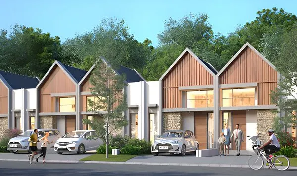 Image TIPE MONSTERRA