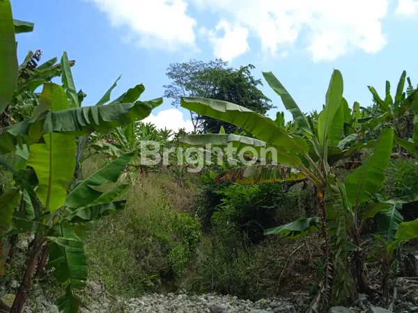 LAHAN DI PERBUKITAN DI DESA HATTA, BAKAUHENI LAMPUNG SELATAN
