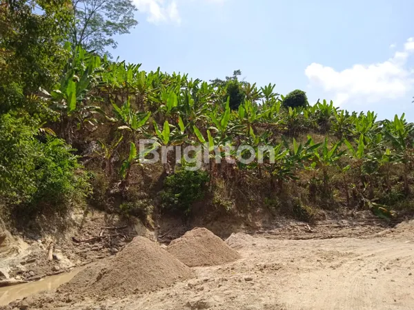 image LAHAN DI PERBUKITAN DI DESA HATTA, BAKAUHENI LAMPUNG SELATAN (2)
