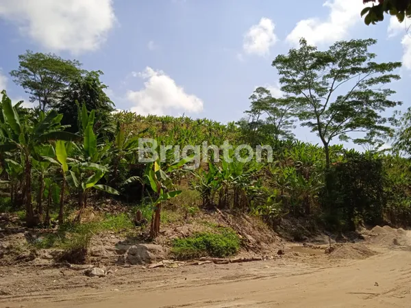 image LAHAN DI PERBUKITAN DI DESA HATTA, BAKAUHENI LAMPUNG SELATAN (3)