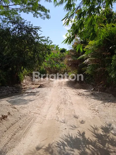 image LAHAN DI PERBUKITAN DI DESA HATTA, BAKAUHENI LAMPUNG SELATAN (4)