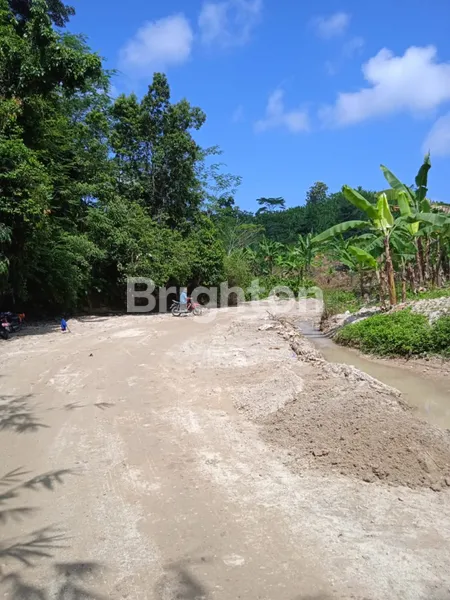 image LAHAN DI PERBUKITAN DI DESA HATTA, BAKAUHENI LAMPUNG SELATAN (5)