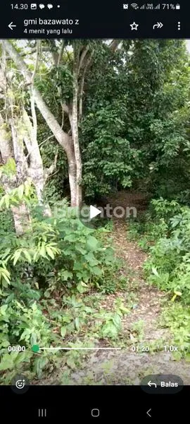 image TANAH KEBUN SABANG (2)