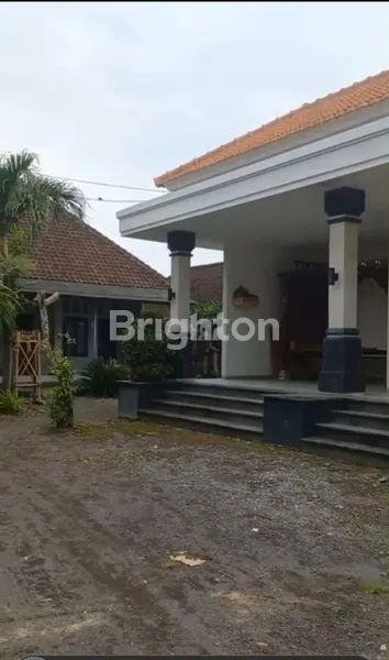 image TANAH 6,12 ARE & 2 BANGUNAN RUMAH DI AREA RENON DENPASAR (5)