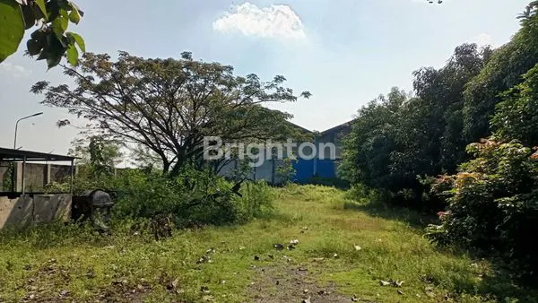 image DIJUAL PROPERTI, TOKO & GUDANG, LOKASI STRATEGIS DEKAT PINTU TOL MADIUN (2)