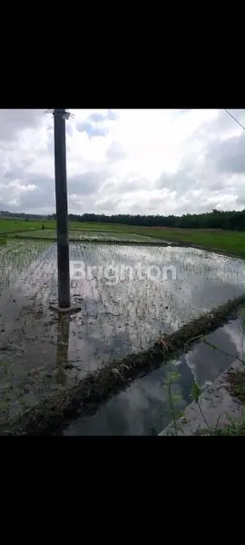 JUAL LAHAN PLOT INDUSTRI JEGREK NGANJUK