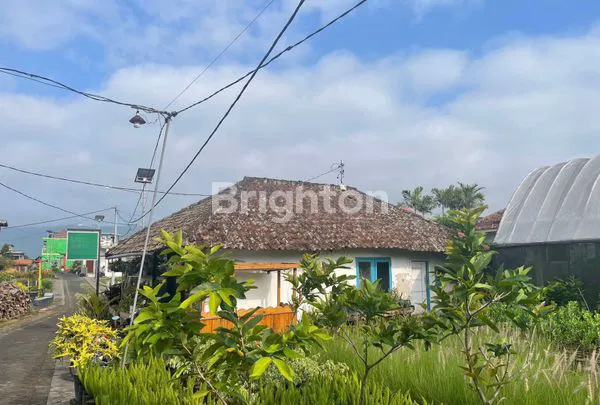 image RUMAH KLASIK SEMI CAFE COCOK UNTUK RUANG USAHA ATAU VILLA (3)