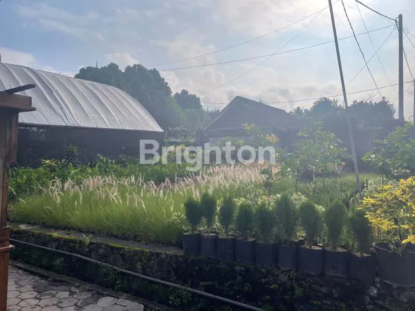 image RUMAH KLASIK SEMI CAFE COCOK UNTUK RUANG USAHA ATAU VILLA (7)