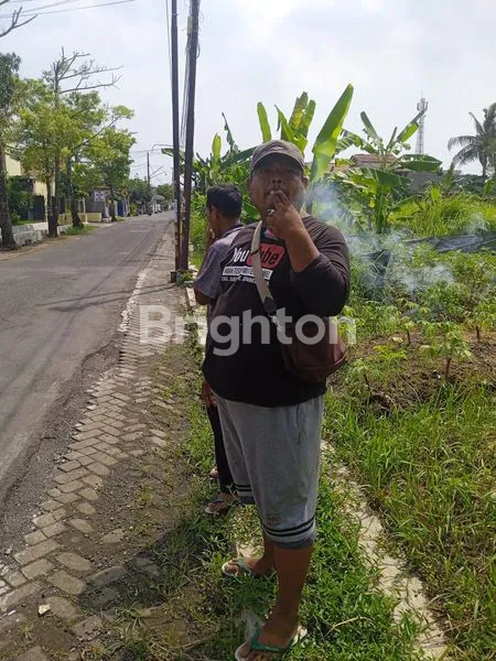 image TANAH SUDAH KERAS SIAP BANGUN (3)