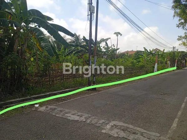 image TANAH SUDAH KERAS SIAP BANGUN (2)