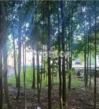 image 8 UNIT KONTRAKKAN TANAH SUPER LUAS DEKAT KAMPUS (2)