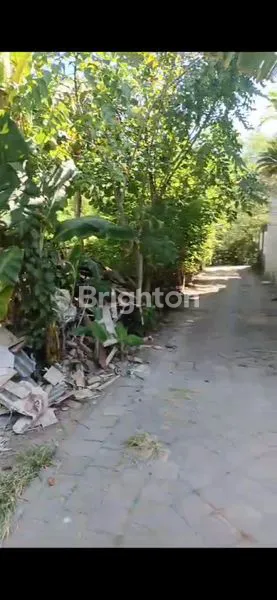 image TANAH DI TANJUNG BENOA (2)