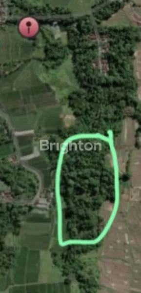 image TANAH UNTUK INVESTASI ATAU BANGUN PERUMAHAN ATAU KOMPLEK VILLA,GUEST HOUSE TURIS PENCINTA BURUNG (2)