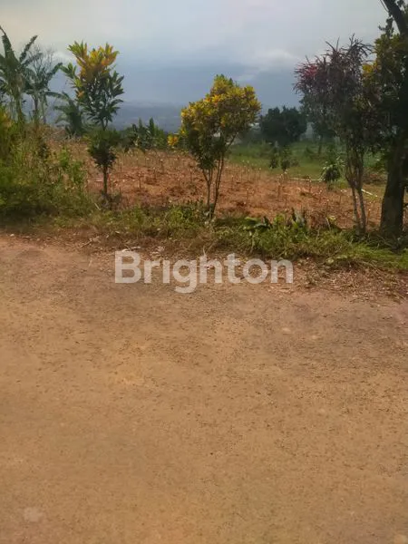 image LAHAN BAGUS DI SENTUL, LOKASI BERKEMBANG, HARGA MENARIK (1)