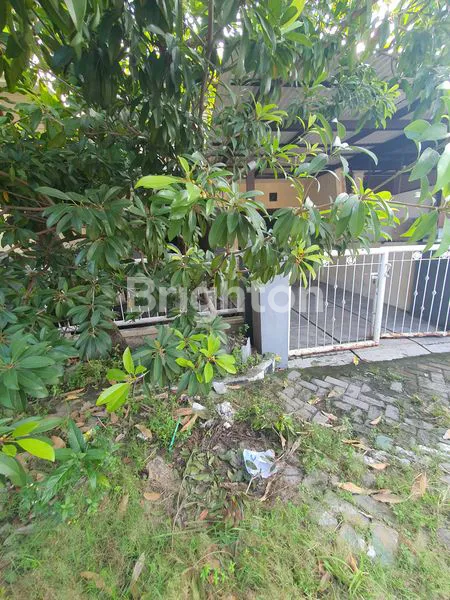 image RUMAH HARGA DIBAWAH PASAR DI WIGUNA (1)