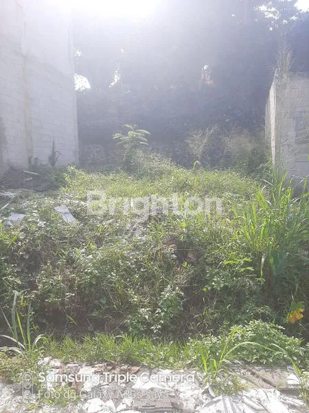 image TANAH KAVLING LANGKA BERBAGAI UKURAN SESUAI KEBUTUHAN DI JALAN PALUPUH KOTA BOGOR  (3)