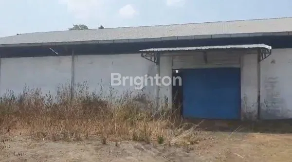 image GUDANG DI NGIMBANG LAMONGAN - JOMBANG (4)